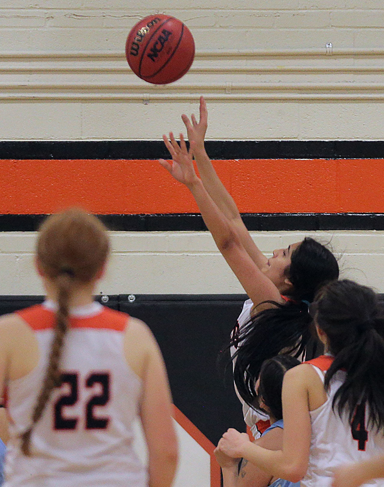 Owyhee at Wells Girls Basketball (131).jpg